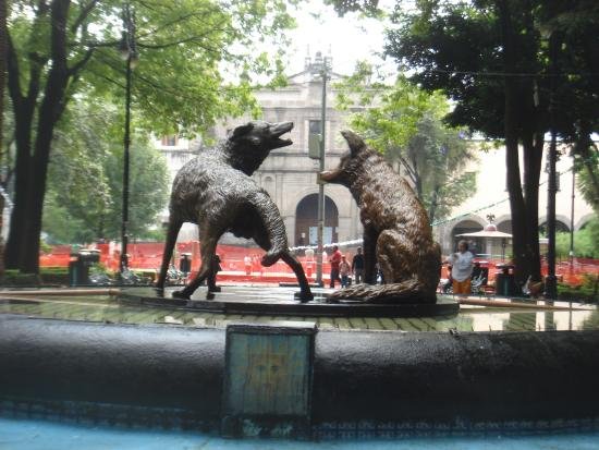 florerias en coyoacan